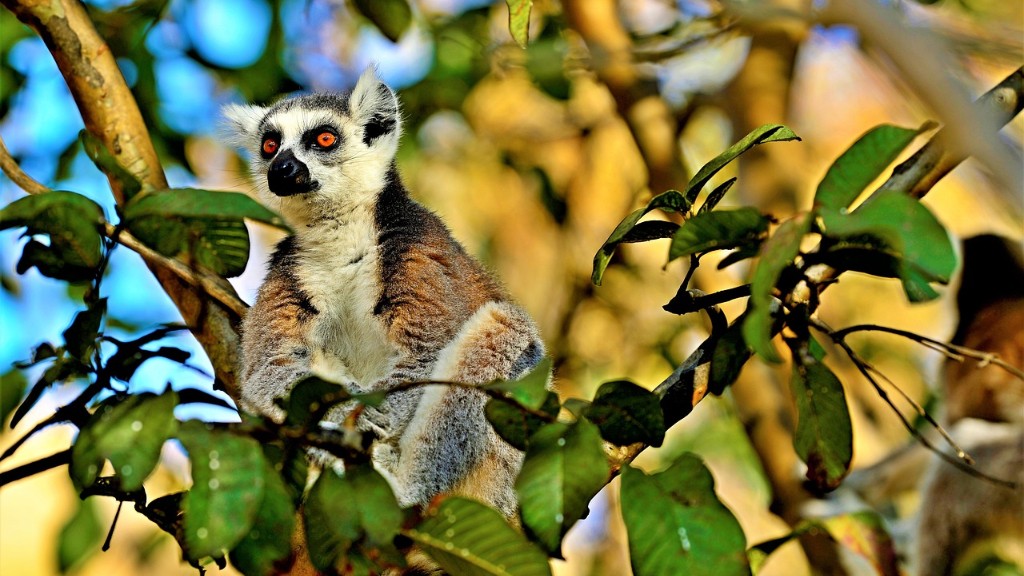 Welke landvormen zijn er in Madagaskar?